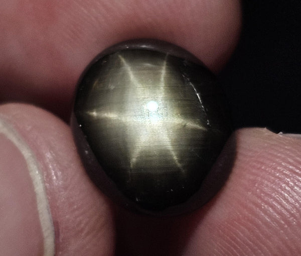 Natural Black Star Sapphire, 13.83 carat