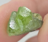 Natural Peridot, 12.36 carat