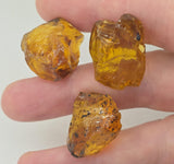 Natural Amber, 43.75 carat total weight
