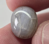 Natural Star Sapphire, 12.79 carat