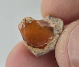 Natural Opal, 9.75 carat