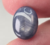 Natural Sapphire, 8.79 carat Natural Earth Gems LLC