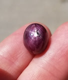 Natural Star Ruby, 16.30 carat