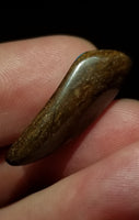 Natural Boulder Opal, 11.29 carat