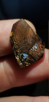 Natural Boulder Opal, 11.83 carat