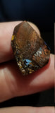 Natural Boulder Opal, 11.83 carat