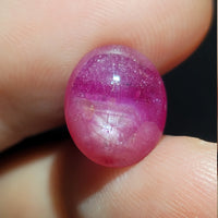 Natural Star Ruby, 7.79 carat