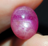 Natural Star Ruby, 7.79 carat