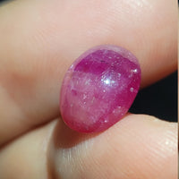 Natural Star Ruby, 7.79 carat