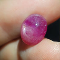 Natural Star Ruby, 7.79 carat