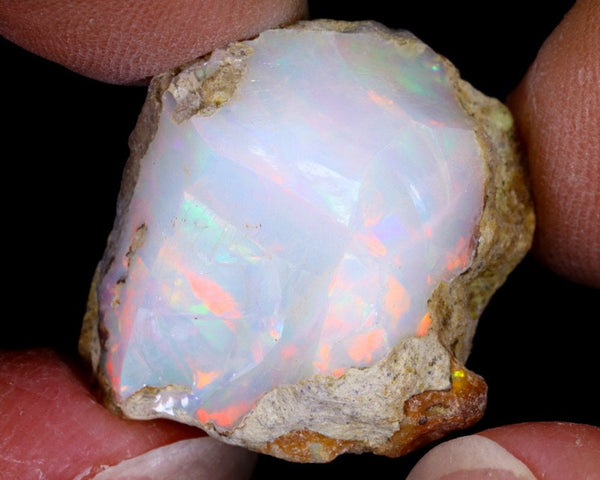 Natural Rough Opal, 24.48 carat