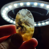 Natural Peruvian Opal, 74.23 carat